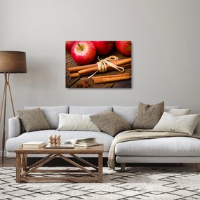 Sklenený obraz - Škorica (70x50 cm)