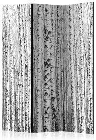 Artgeist Paraván - Birch forest [Room Dividers]