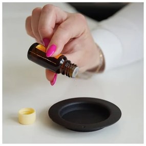 Kratki DELTA/CZARNY/TUV - Vstavaný BIO krb DELTA 40x60 cm 2kW čierna