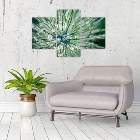 Obraz - Makro snímka kvetu (90x60 cm)