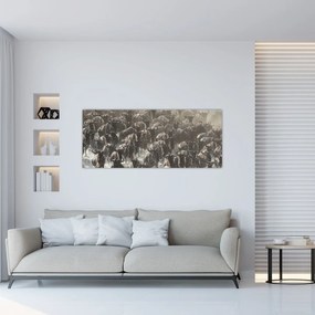 Obraz - Stádo pakoňov (120x50 cm)