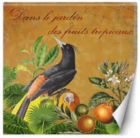 Gario Fototapeta Nápis vtákov - Andrea Haase Materiál: Vliesová, Rozmery: 100 x 100 cm