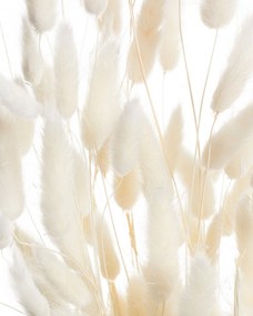 Kytica fúkačiek 60cm cream