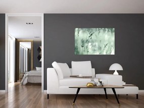 Obraz - Zelená lúka (90x60 cm)