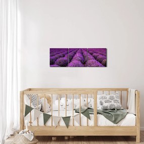Obraz - Levanduľové pole (s hodinami) (90x30 cm)