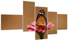 Obraz motýľa