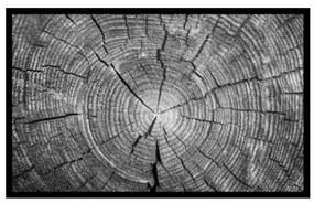 Rohožka Trunk 50x80 cm 02010003