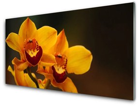 Obraz na akrylátovom skle Kvety rastlina 140x70 cm
