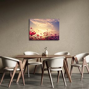 Obraz - Lúka s kvetmi (70x50 cm)