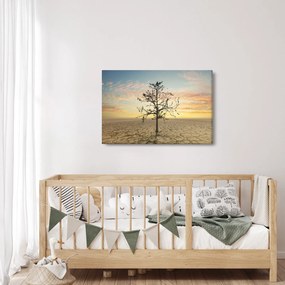 Obraz - Strom na púšti (90x60 cm)