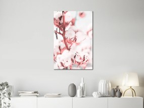 Artgeist Obraz - Blooming Cotton (1 Part) Vertical Veľkosť: 20x30, Verzia: Standard