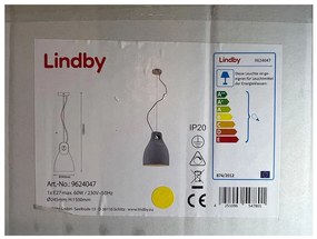 Lindby Lindby - Luster na lanku MORTON 1xE27/60W/230V LW0351