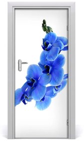 Fototapeta samolepiace modrá orchideami 75x205 cm