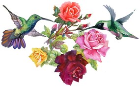 Samolepiaca tapeta kolibríky s kvetmi - 225x150