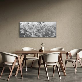 Obraz - Tráva vo vetre (120x50 cm)