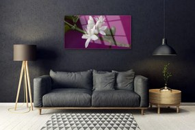 Skleneny obraz Kvety úhonky príroda 125x50 cm