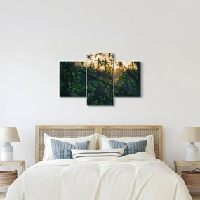 Obraz presvitajúceho slnka cez vetvičky stromov (90x60 cm)
