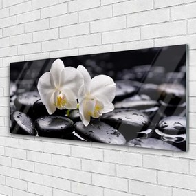 Obraz plexi Kamene zen biela orchidea 125x50 cm