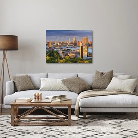 Obraz - Panorama Rotterdamu, Holandsko (70x50 cm)