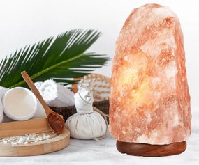 Soľná lampa SALLY 1xE14/25W/230V