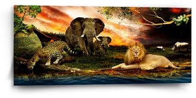 Sablio Obraz Zvieratá zo Sahary - 110x50 cm