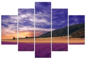 Obraz levanduľovej lúky (150x105 cm)