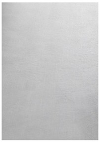 Svetlosivý prateľný koberec 160x230 cm Sky – Ayyildiz Carpets