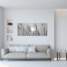 Obraz - Lúka pri západe slnka (120x50 cm)