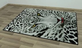 Koberec Rainbow 11122/190 leopard  sivý / čierny