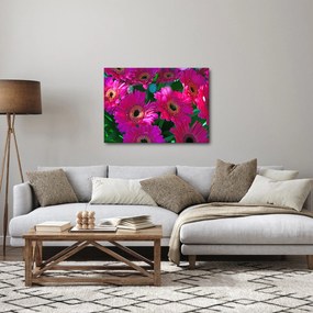 Obraz - kvety (70x50 cm)