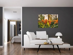 Obraz - oranžové tulipány (90x60 cm)