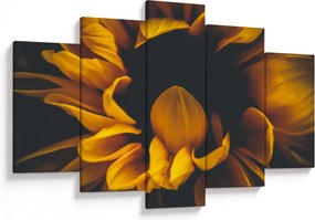 Obraz - Slnečnica v čiernom pozadí (150x105 cm)