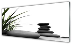 Obraz plexi Kamene zen tráva 125x50 cm