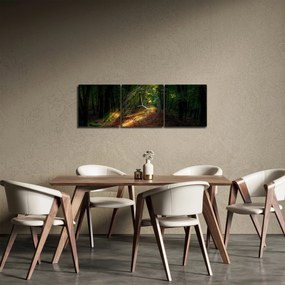 Obraz lesnej cesty (s hodinami) (90x30 cm)
