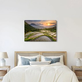 Obraz - Ryžové terasy (90x60 cm)