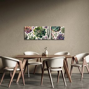 Obraz - Sukulenty (s hodinami) (90x30 cm)