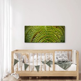 Obraz - Papraď (120x50 cm)