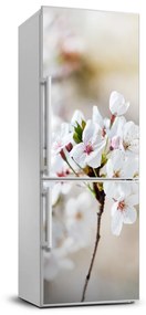 Samolepiace nálepka na chladničku Kvety višne FridgeStick-70x190-f-100965392