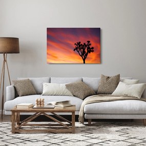Obraz západu slnka nad siluetou stromu (90x60 cm)