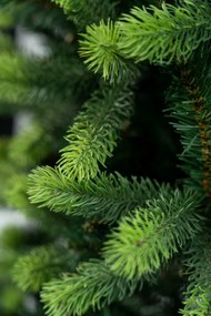 Jedlička severská 3D- 150cm