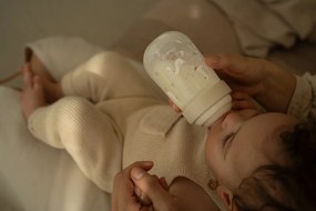 Dojčenské fľaše 165 ml + 240 ml + 2 cumlíky Husa