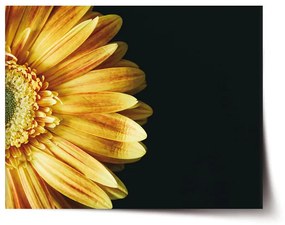 Sablio Plagát Žltá gerbera - 60x40 cm