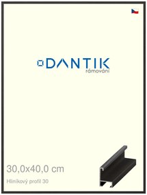 DANTIK rám na obraz 30x40 | ALU Dýha černá (Plexi Čiré)
