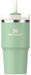 Šalviová zelená termoska so slamkou z nehrdzavejúcej ocele 600 ml Quencher H2.0 FlowState Tumbler Pistachio – Stanley