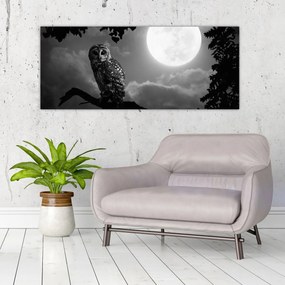 Obraz - Nočná sova, čiernobiela (120x50 cm)