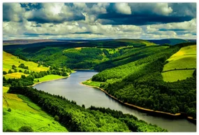 Obraz - Zelená krajina (90x60 cm)