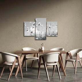 Obraz - Boho bunny tail grass (90x60 cm)