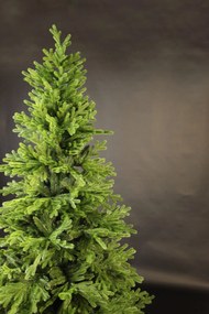 Smrek Tirolský 3D- 260cm