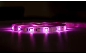 Immax NEO 07775L- LED RGB+CCT Stmievateľný pásik 48W/230V 10 m IP65 Wi-Fi Tuya+DO