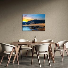 Obraz - Napájadlo (70x50 cm)